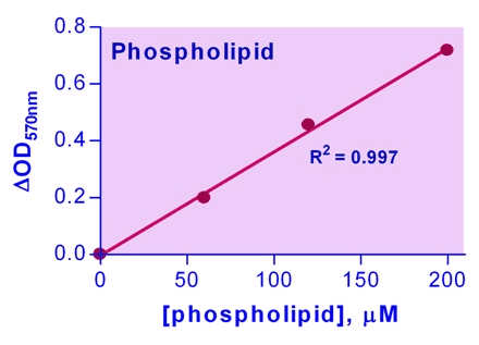 Phospholipid Assay Kit (Colorimetric/Fluorometric)