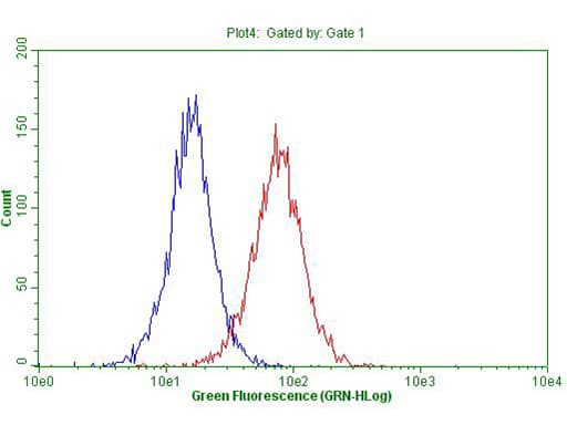 DECR1 Antibody (clone OTI5D6)