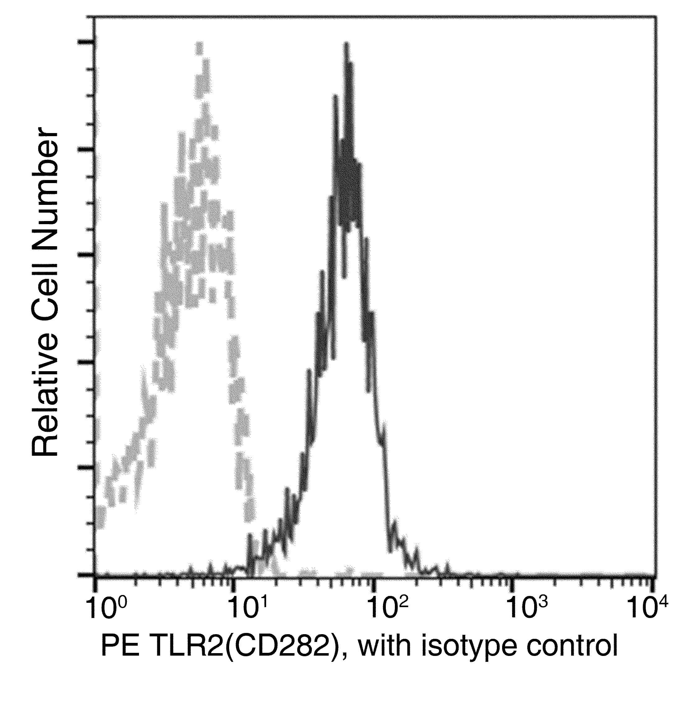TLR2 Antibody (clone 067, PE)
