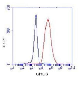 CHD3 Antibody
