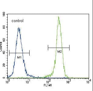 CDH1 / E Cadherin Antibody (aa833-862)