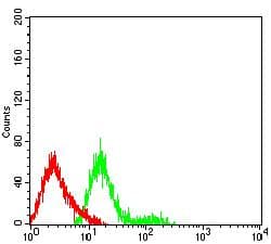IGF2R / CD222 Antibody (clone 4F1G1)