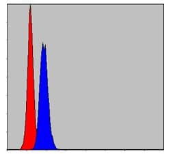 PHB / Prohibitin Antibody (clone 5H7)