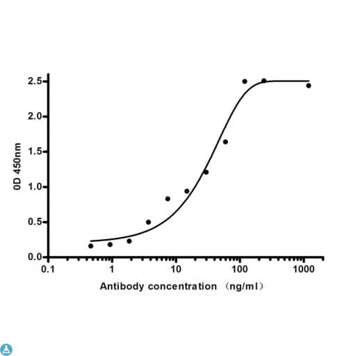 LCN2 / Lipocalin 2 / NGAL Antibody