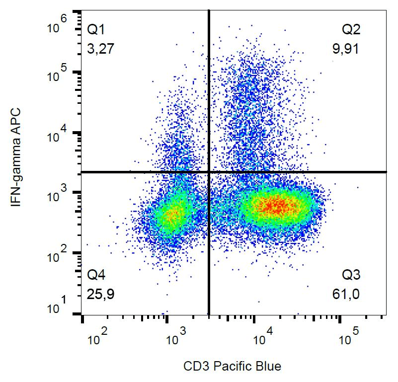 Monoclonal Mouse anti-Human IFN Gamma / Interferon Gamma Antibody (clone 4S.B3, APC, IHC, WB)