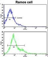 CD247 / CD3 Zeta Antibody (aa2-31)