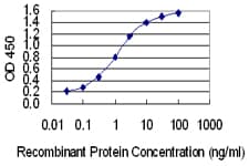 AIMP2 Antibody (clone 8E7)