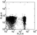 CCR7 Antibody (clone 4B12, APC)