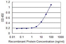HOXB9 Antibody (clone 3C8)
