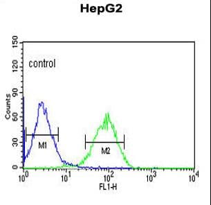 Polyclonal Rabbit anti-Human NR5A1 / SF1 Antibody (aa64-93, IHC, WB)