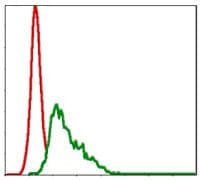 UBE2I / UBC9 Antibody (clone 1B10)