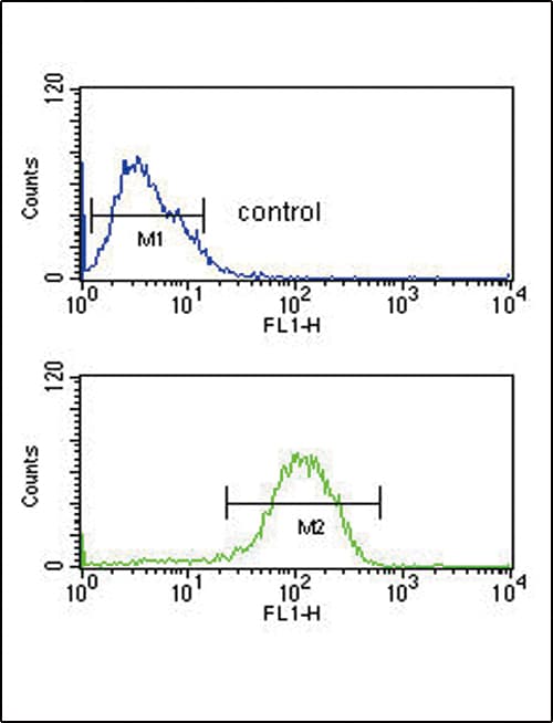 Peptide YY / PYY Antibody (aa67-94)