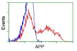 APP / Beta Amyloid Precursor Antibody (clone OTI4C3, Carrier-free)