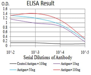 Monoclonal Mouse anti-Human TRIM25 Antibody (clone 5B5B12, IHC, IF, WB)