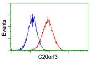 IHC-plus™ Monoclonal Mouse anti-Human APMAP / C20orf3 Antibody (clone OTI4F6, IHC, WB)