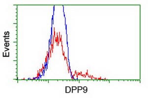 IHC-plus™ DPP9 Antibody (clone 6A12)