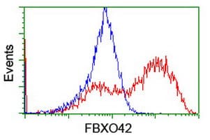 FBXO42 / JFK Antibody (clone OTI1H4)