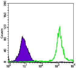 PARP1 Antibody (clone 7A10)