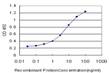 GSC / Goosecoid Antibody (clone 4H7)