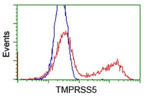 TMPRSS5 Antibody (clone OTI6E11)
