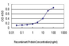 USP48 Antibody (clone 3G4)