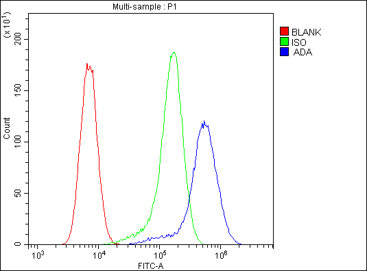 ADA / Adenosine Deaminase Antibody