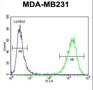 C6orf150 / MB21D1 Antibody (aa266-295)