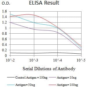 Monoclonal Mouse anti-Human KIR2DL4 Antibody (clone 4C2D11, WB)