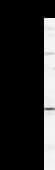 FTSJ2 Antibody (clone 2372C6a)
