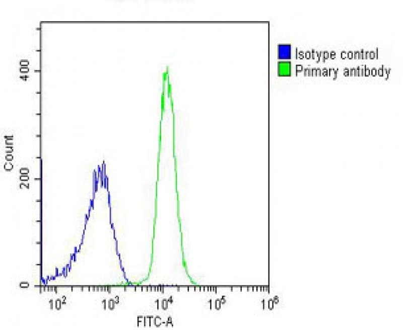 PIGC Antibody (C-Terminus)