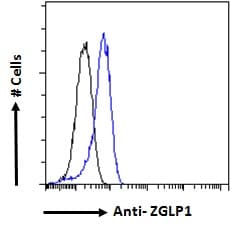 ZGLP1 Antibody (aa145-157)