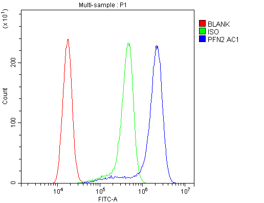 Polyclonal Rabbit anti-Human PFN2 / Profilin 2 Antibody (aa125-140, IHC, WB)