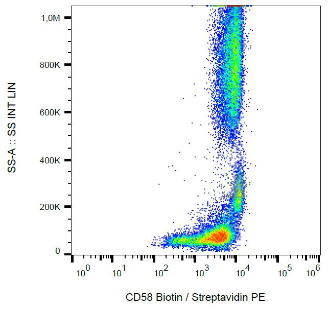 CD58 Antibody (clone MEM-63, Biotin)