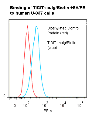 Human TIGIT Protein (Fusion)