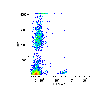 CD19 Antibody (clone LT19, APC)
