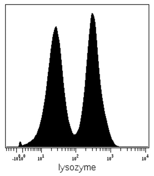 LYZ / Lysozyme Antibody (clone LZ598-10G9)