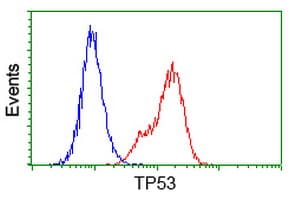 TP53 / p53 Antibody (clone OTI5D9)