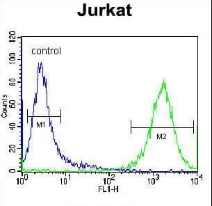 PRMT4 / CARM1 Antibody (aa346-377)