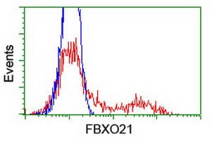 FBXO21 Antibody (clone OTI6C10)