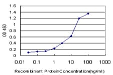 CAPN9 / Calpain 9 Antibody (clone 3A6)