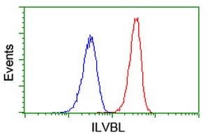 ILVBL Antibody (clone OTI2F1, Carrier-free)