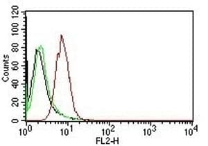 CCND1 / Cyclin D1 Antibody (clone CCND1/809)
