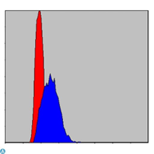 JUN / c-Jun Antibody