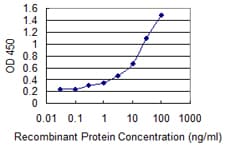 ADORA2A/Adenosine A2A Receptor Antibody (clone 4E4)