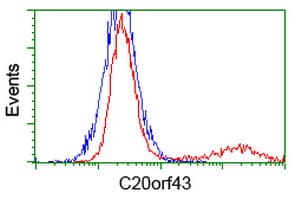RTFDC1 Antibody (clone OTI7H1)