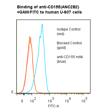 PVR / CD155 Antibody (clone ANC2B2, Preservative Free)