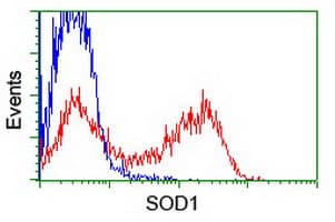 IHC-plus™ SOD1 / Cu-Zn SOD Antibody (clone 8B10)