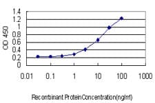 ABCF2 Antibody (clone 1D11)