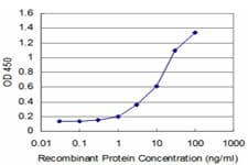 FGF8 Antibody (clone 2A10)