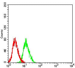 GRIN3B / NR3B Antibody (clone 2A8E11)